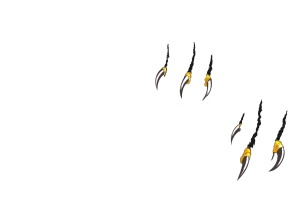 partners-de-havikshoeve