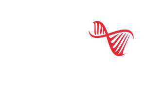 partners-driessen-architectuur