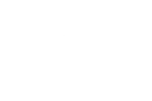partners-dsv