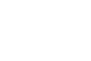 partners-fysiotherapie-t-raadhuis