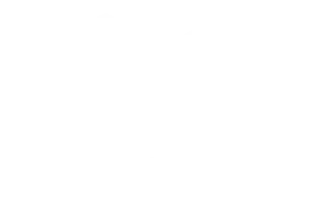 partners-mind-mystery