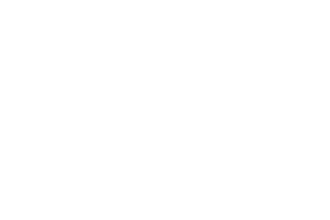 partners-vera